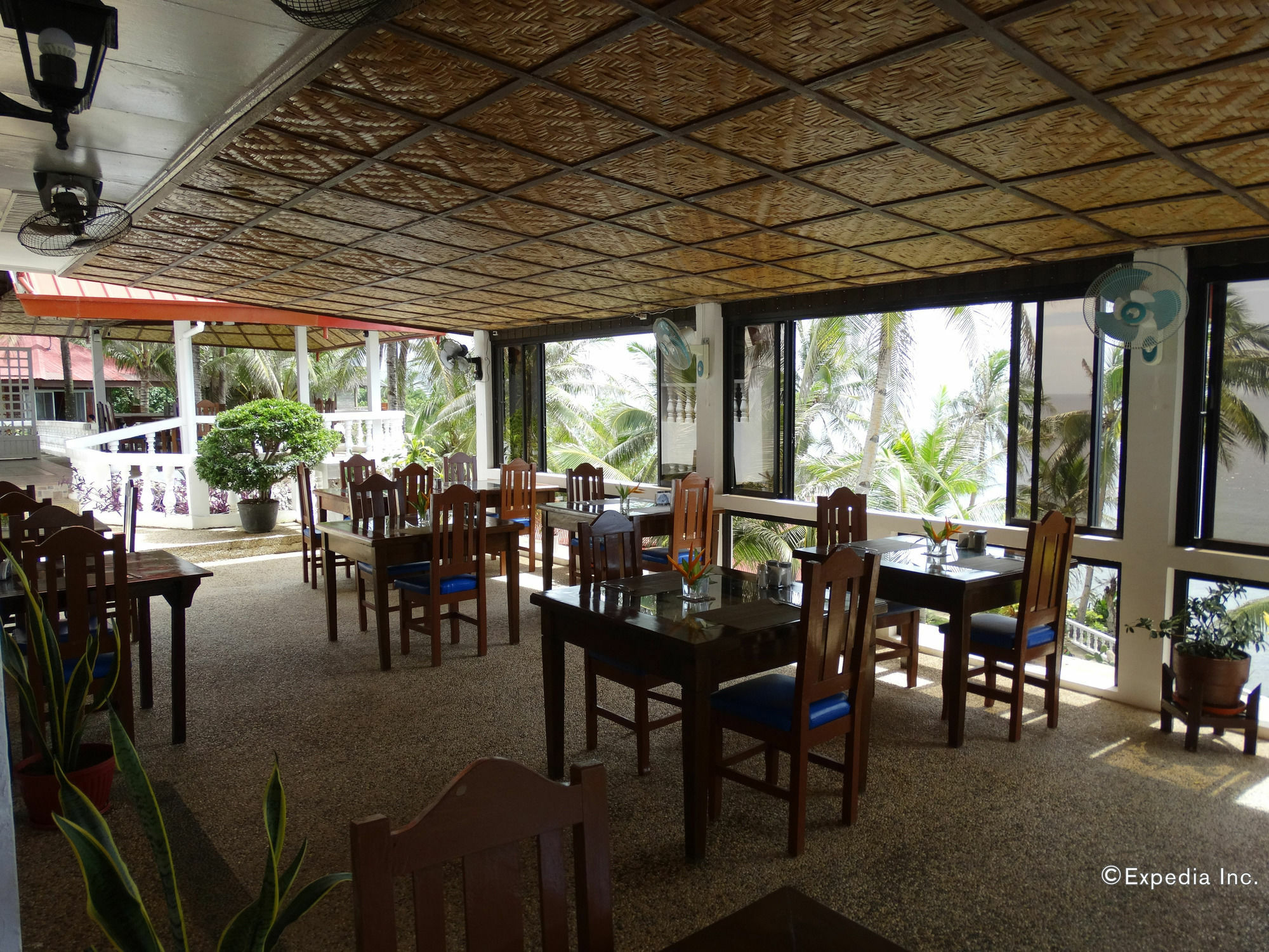 Blue Star Dive And Resort Anda  Extérieur photo